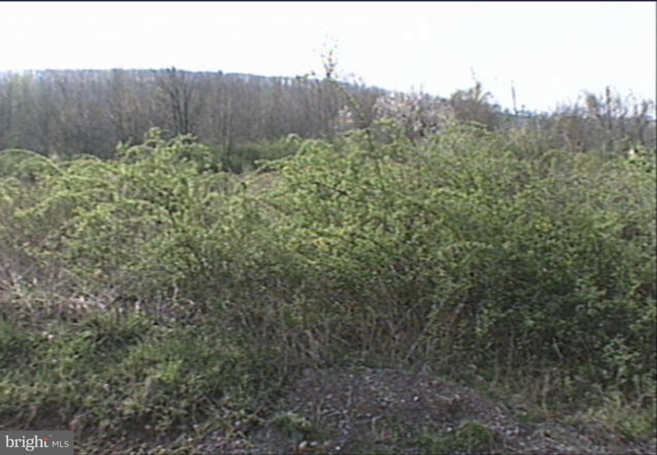 0 Paxton Drive - Photo 1