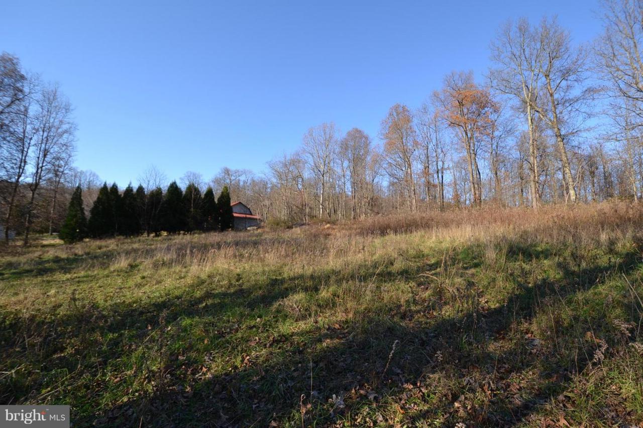 14321 Brown - Photo 1