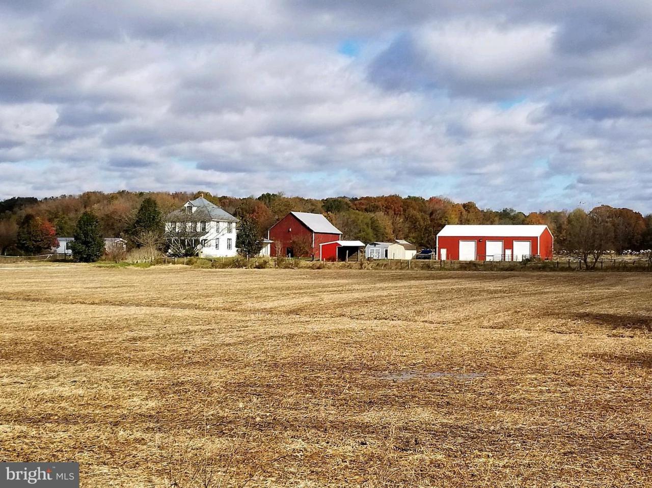 160 Dixon Stable Lane - Photo 1