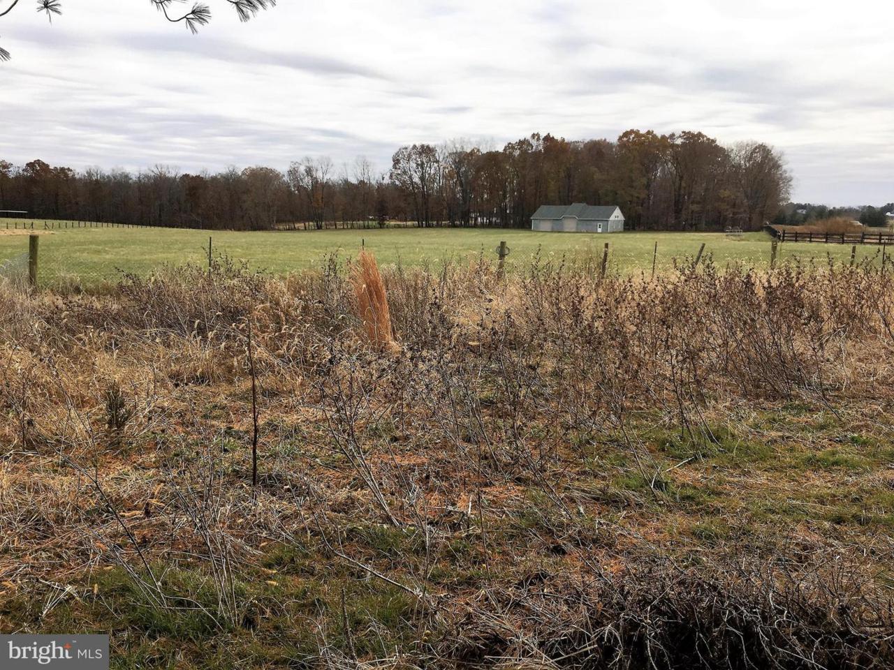 43129 Lucketts Road - Photo 1