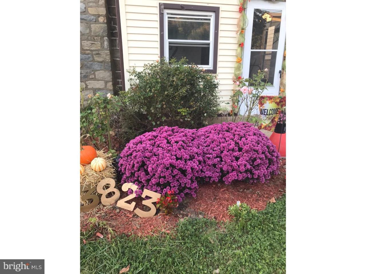 3823 Albemarle Avenue - Photo 1