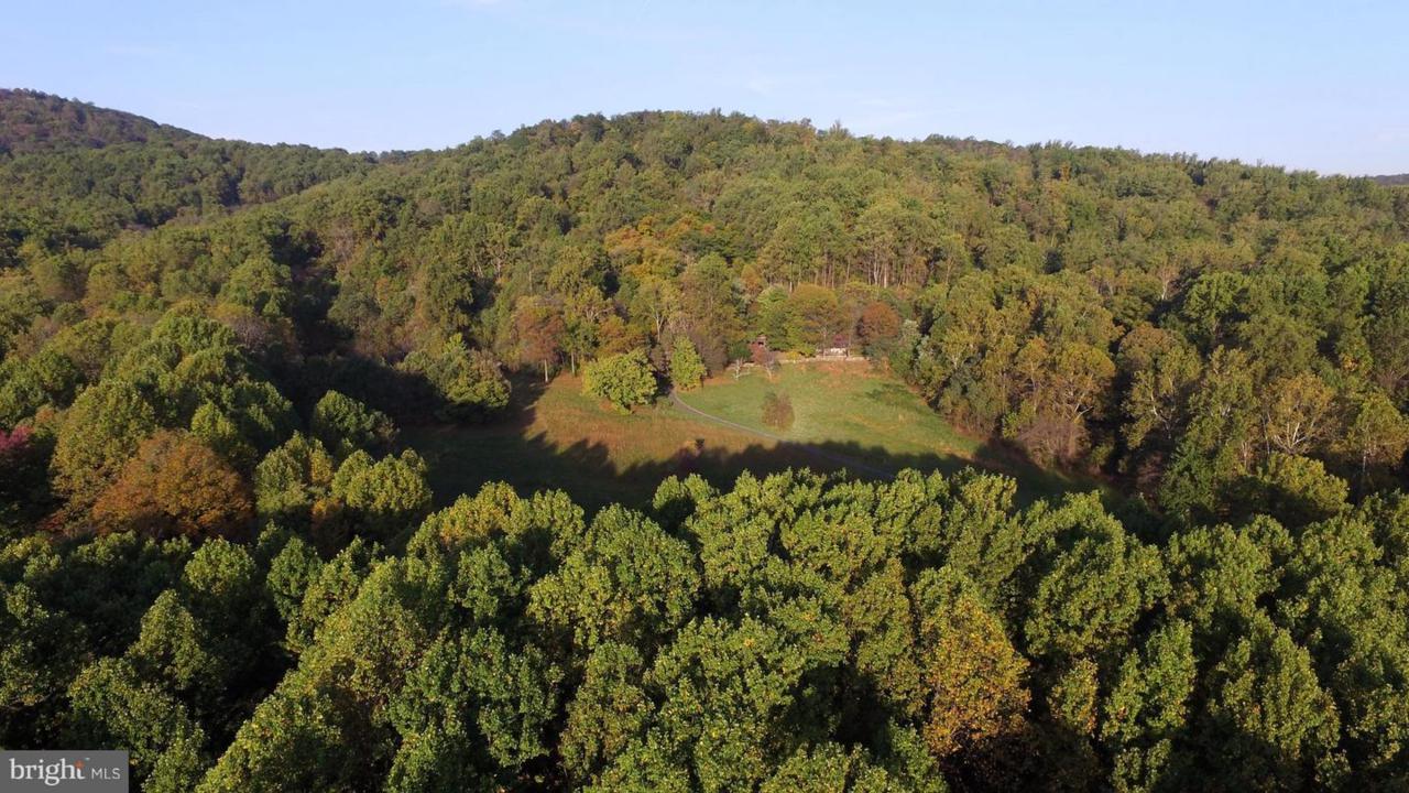 Moss Hollow Road - Photo 1