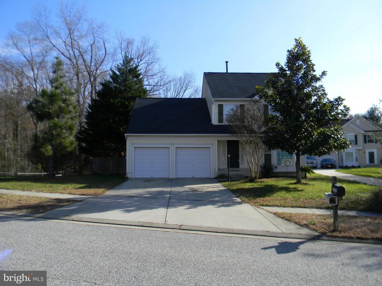 8145 Knightsbridge Street - Photo 1