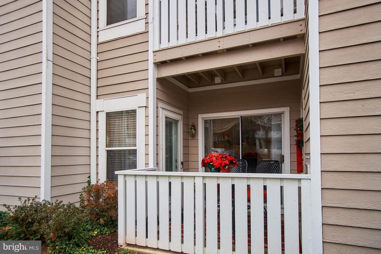 14317 Climbing Rose Way - Photo 1