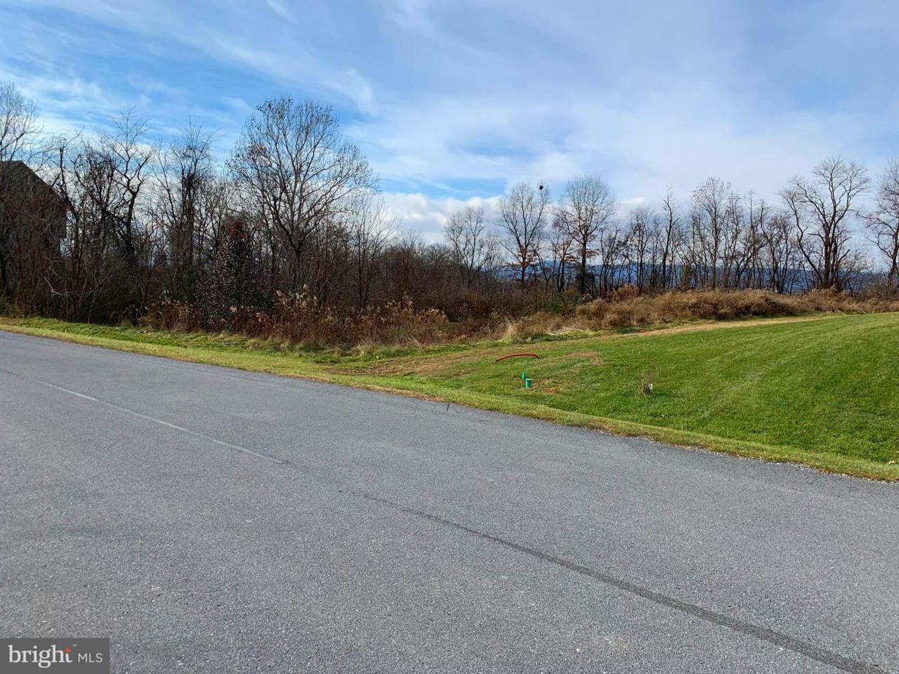 1599 Wind Flower Road - Photo 1