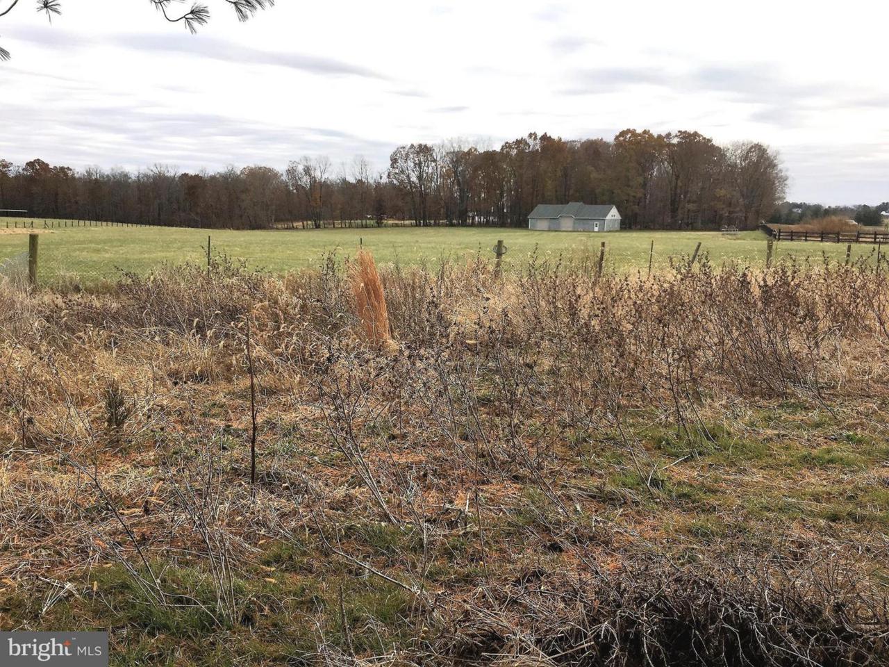 43129 Lucketts Road - Photo 1