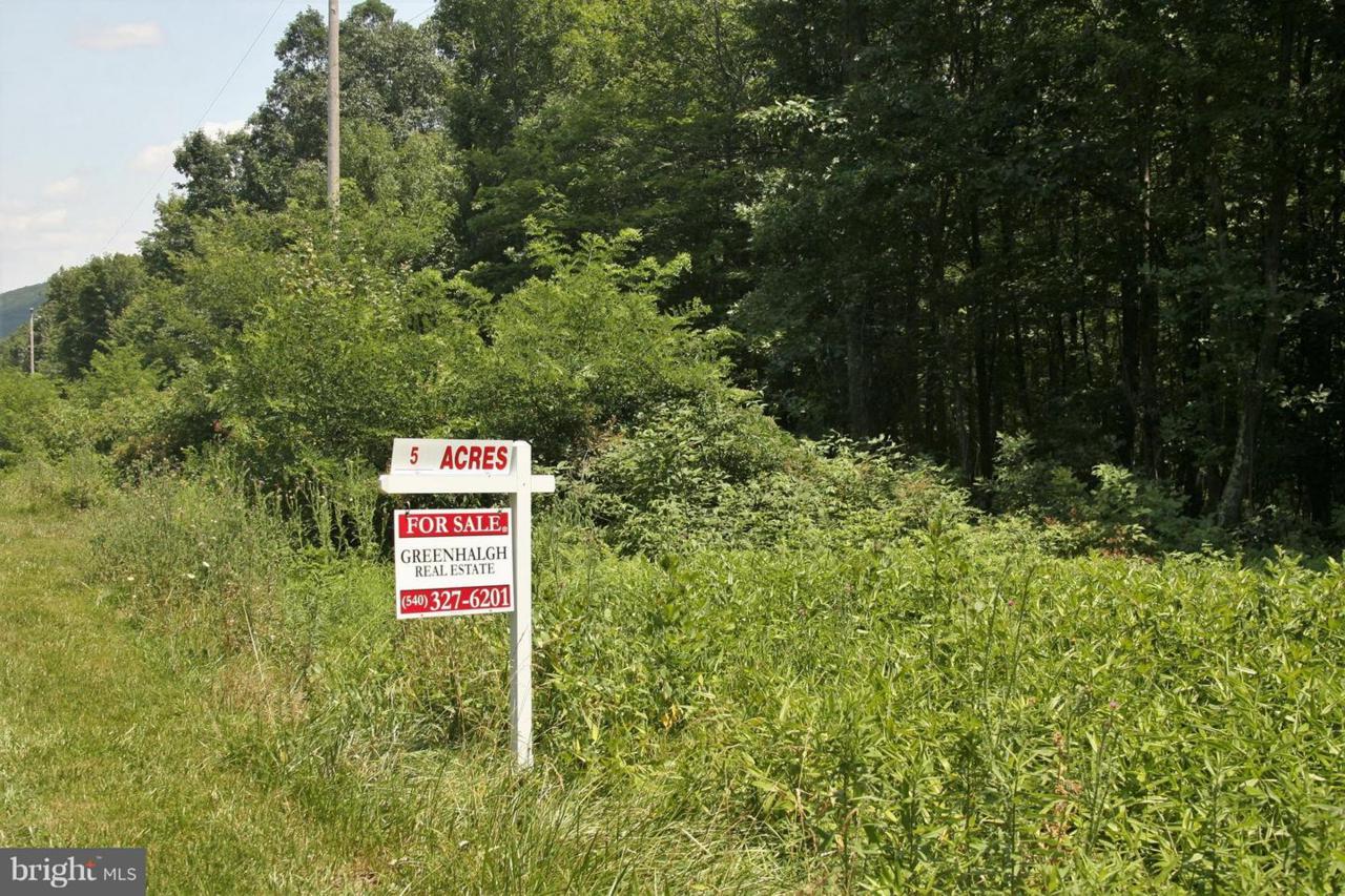 Wardensville Pike - Photo 1