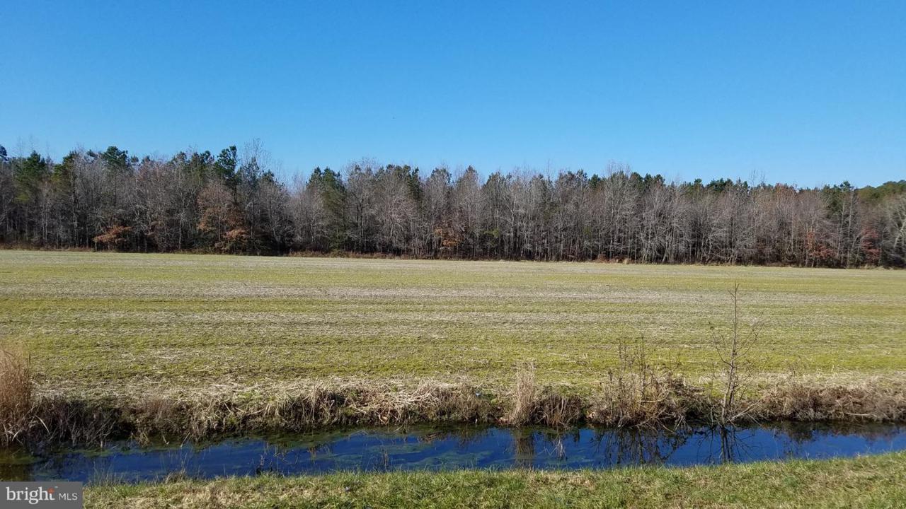 Lot# 14 Anderson Road - Photo 1