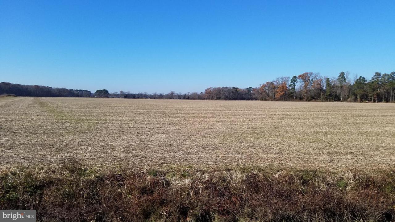 Lot# Anderson Road - Photo 1