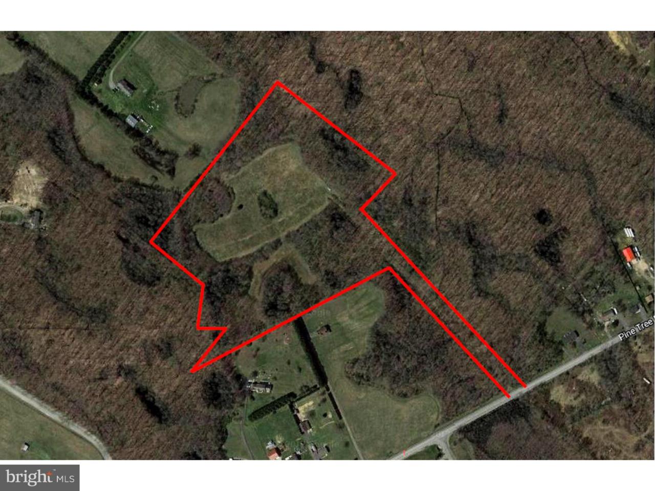 Lot #3 Pine Tree Road - Photo 1