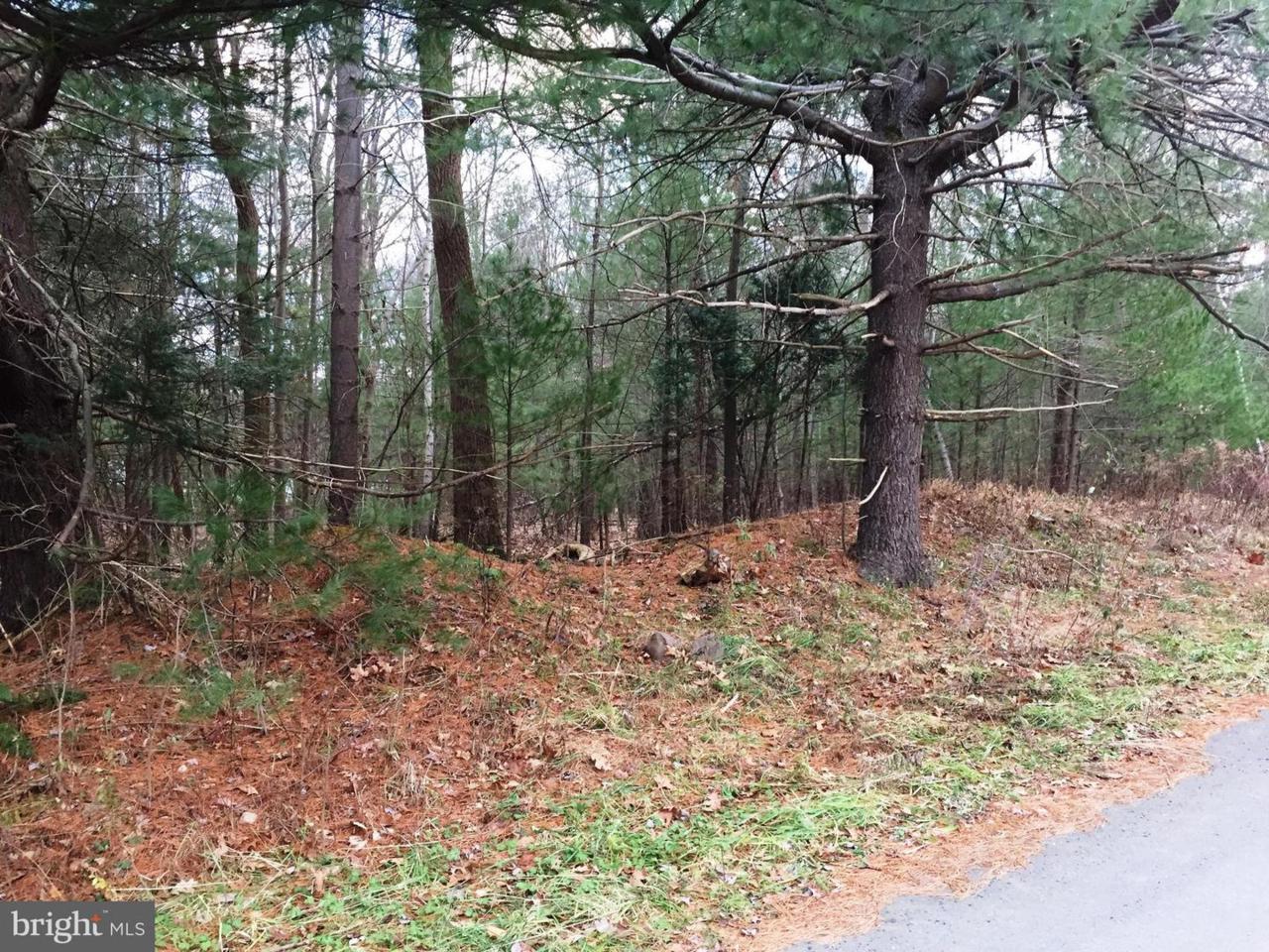 Birchwood Drive - Photo 1