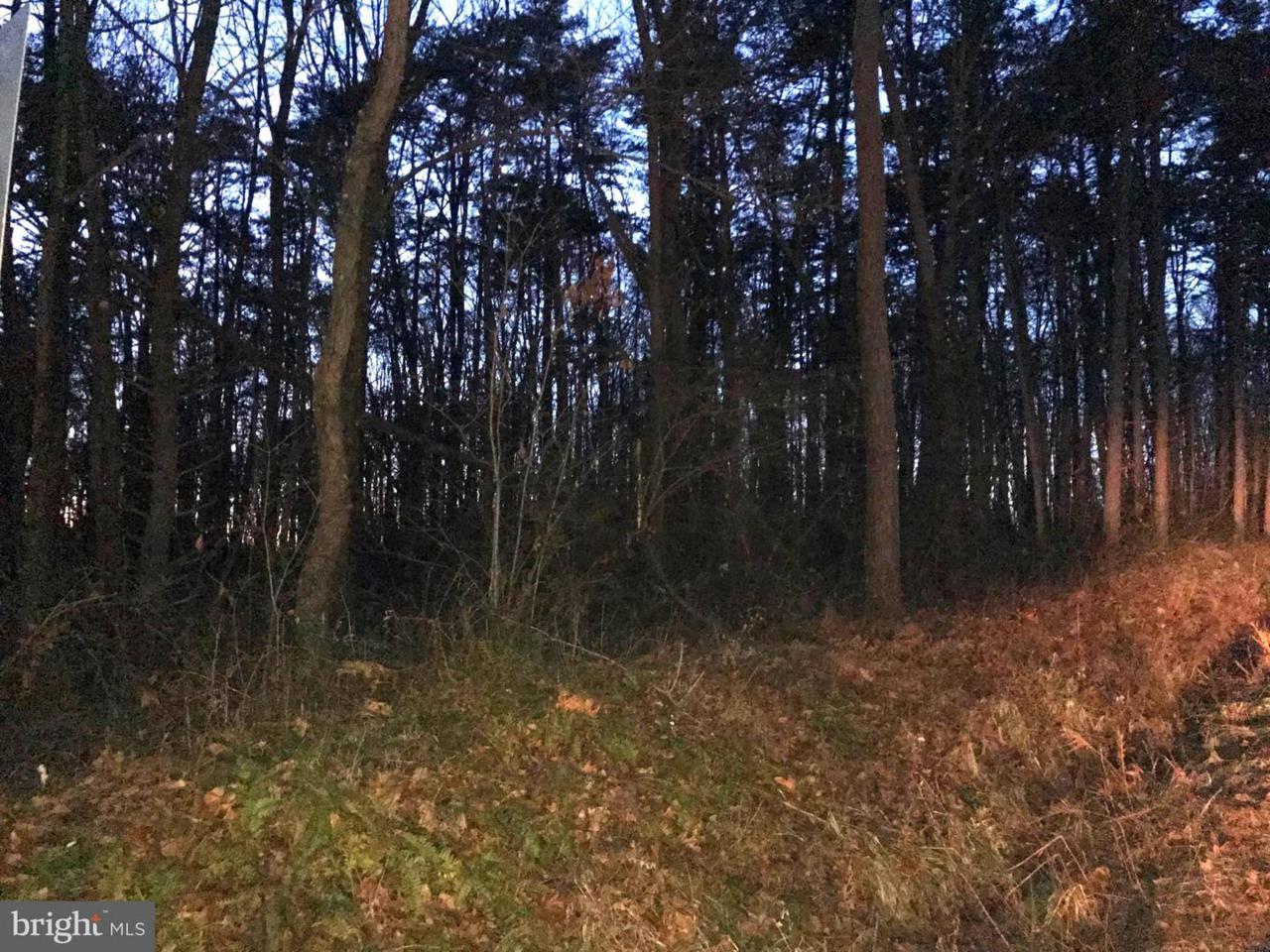 Gorman Road - Photo 1