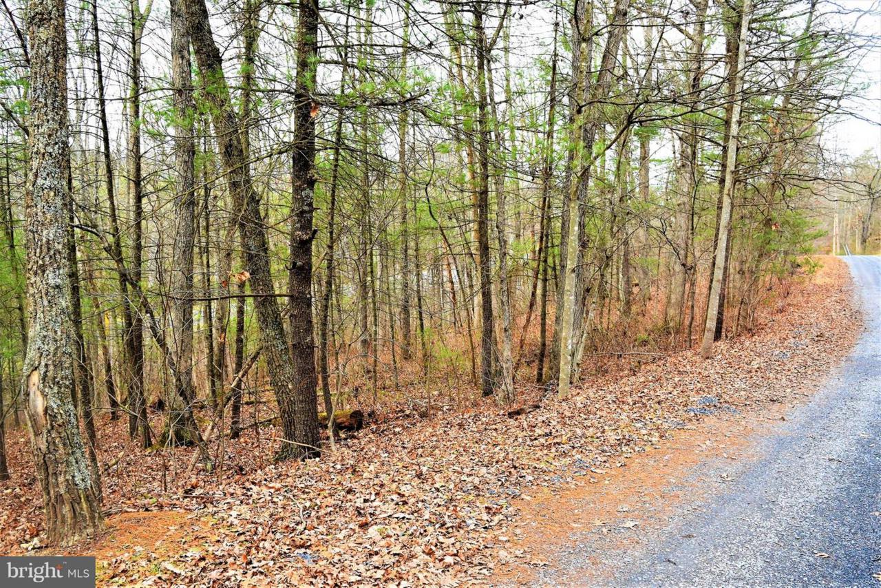 Deer Trail - Photo 1
