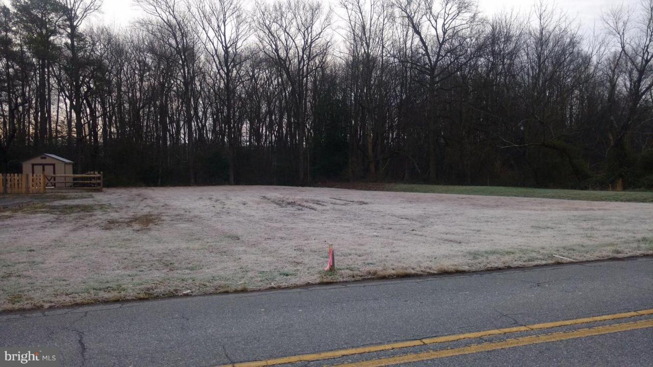 0 Old Stage Road - Photo 1