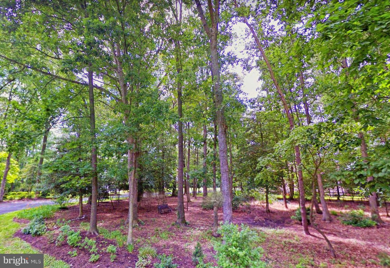 124 Bangor Lane - Photo 1