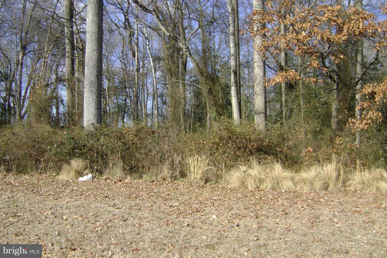 0 Bowers Beach Road - Photo 1