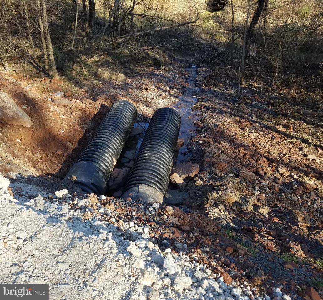 Shenandoah Path - Photo 1