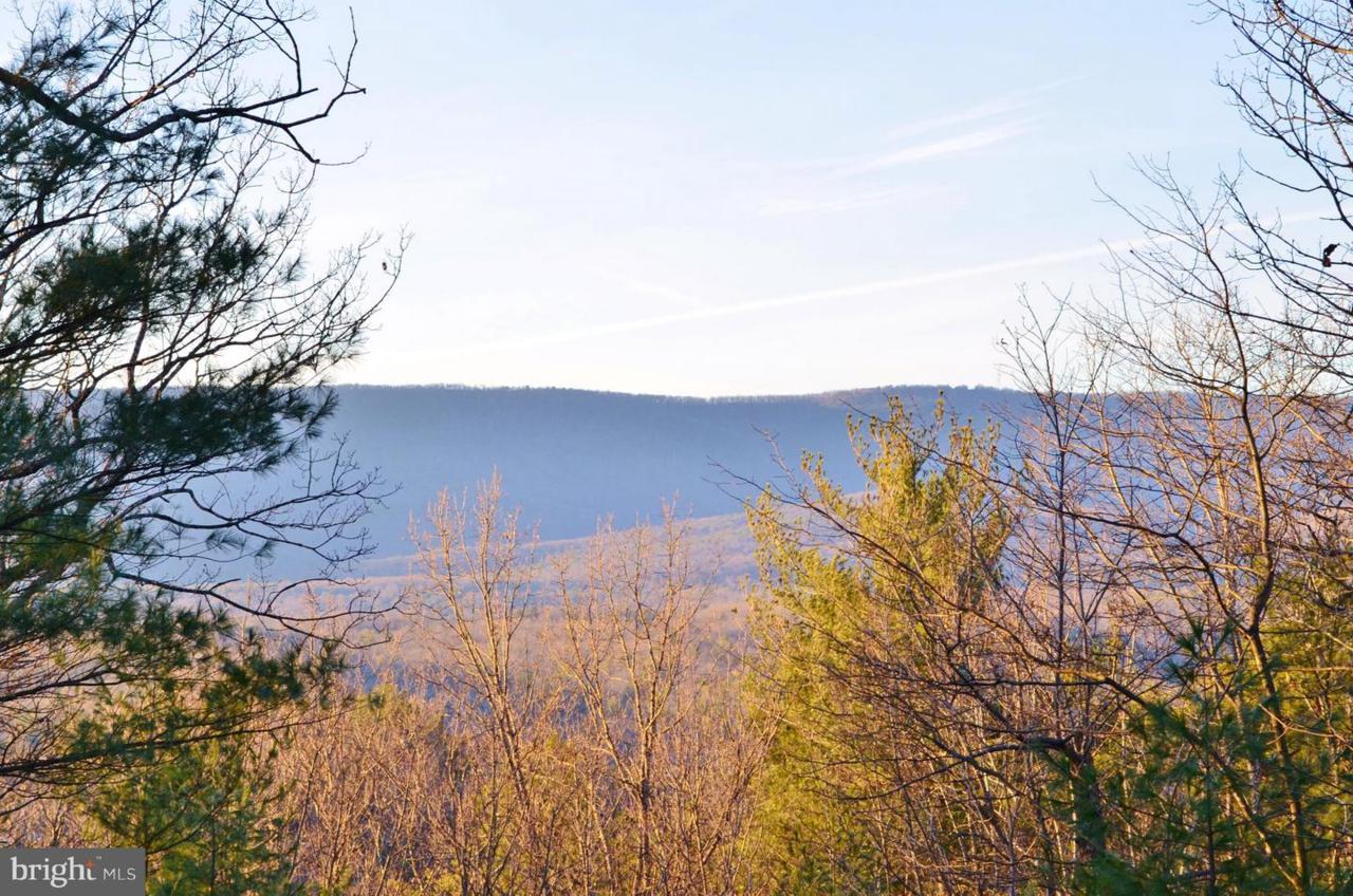 7195 Supinlick Ridge Road - Photo 1