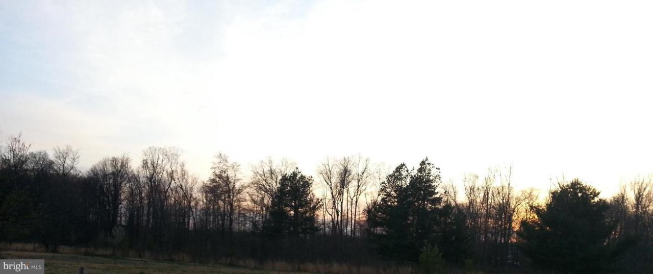 Wampler Road - Photo 1