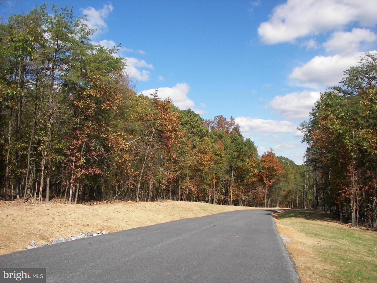 Key Pine Lane - Photo 1