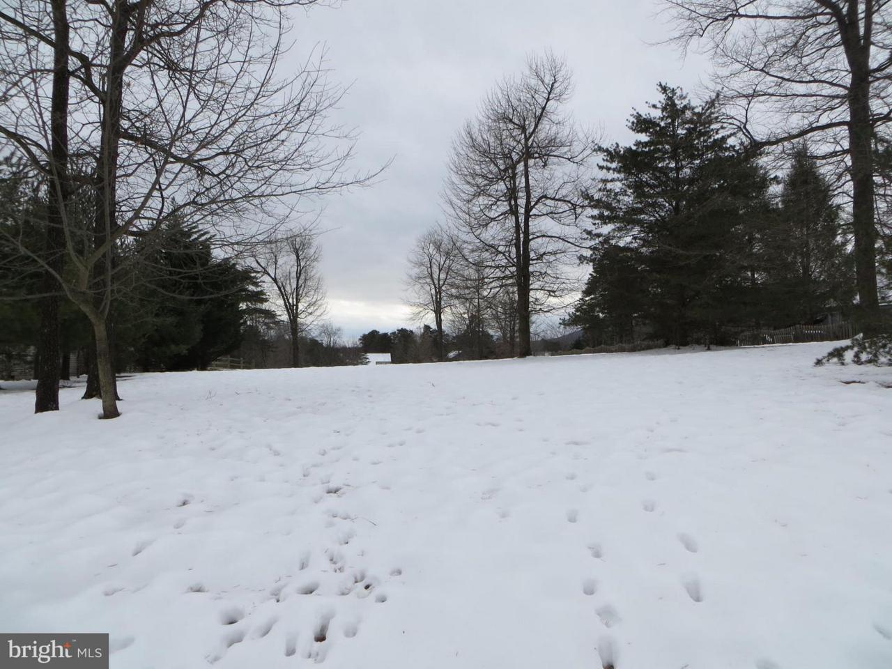 312 Warpath Lane - Photo 1