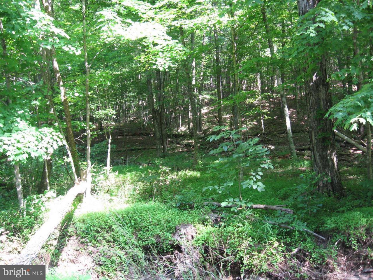 Mccoy Rd. - Photo 1