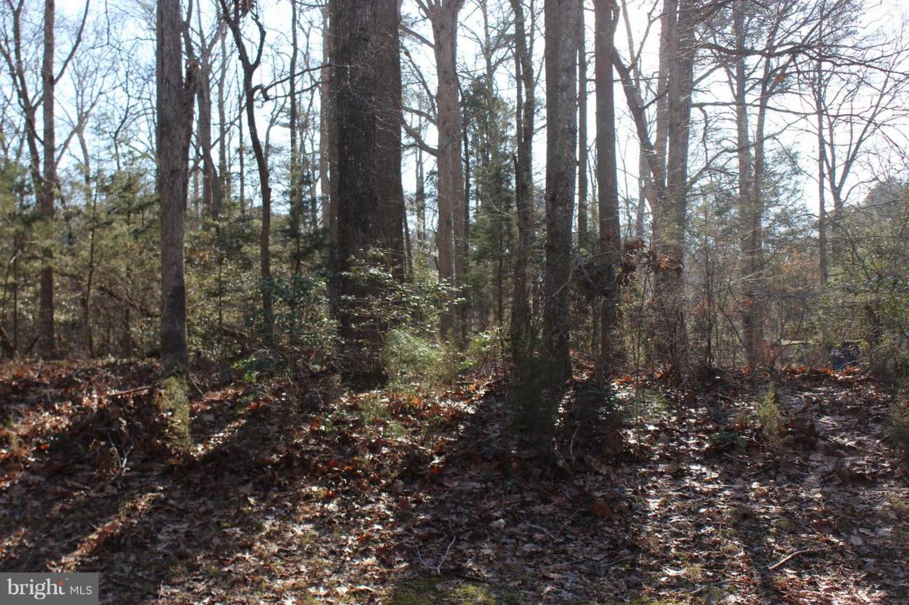 1813 Mutiny Drive - Photo 1