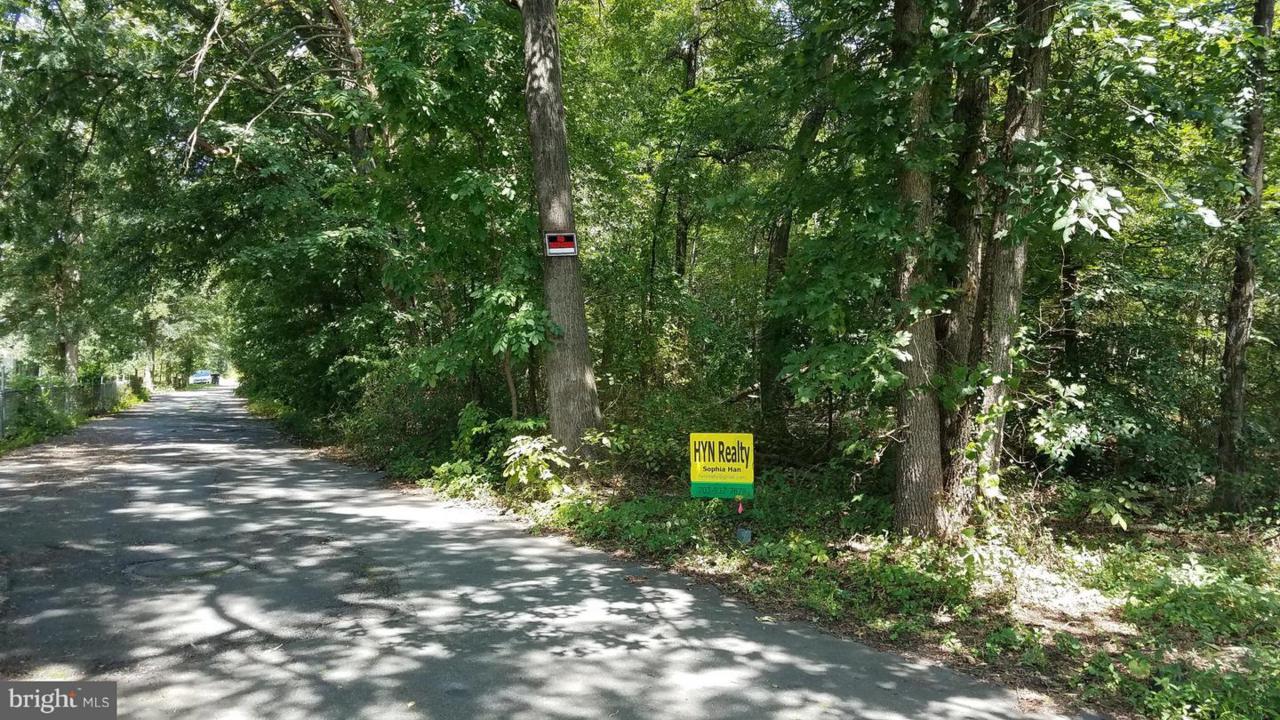 6533 Lyles Road - Photo 1