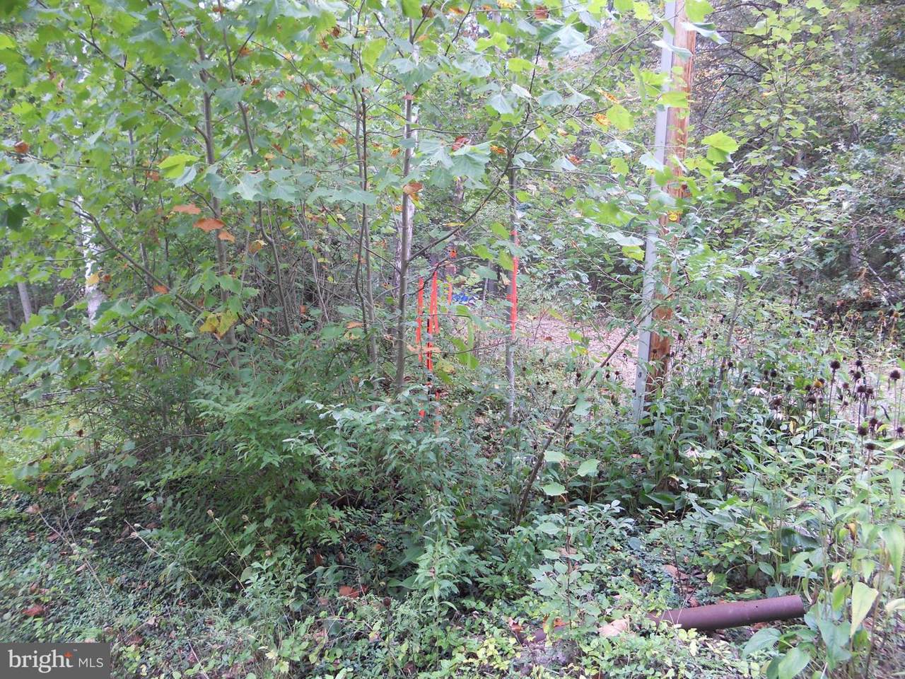 150 Lake Drive - Photo 1