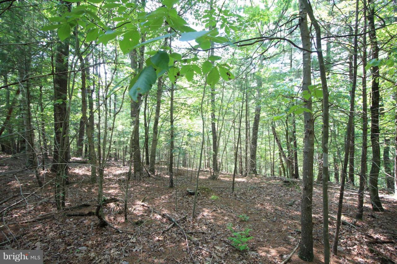 Lot 11 High Point Drive - Photo 1