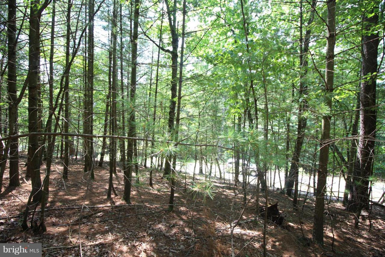 Lot 14 Slate Rock Pass Road - Photo 1