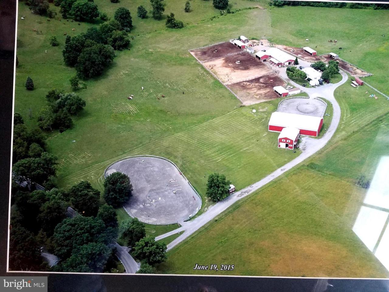 9912 Masser Road - Photo 1