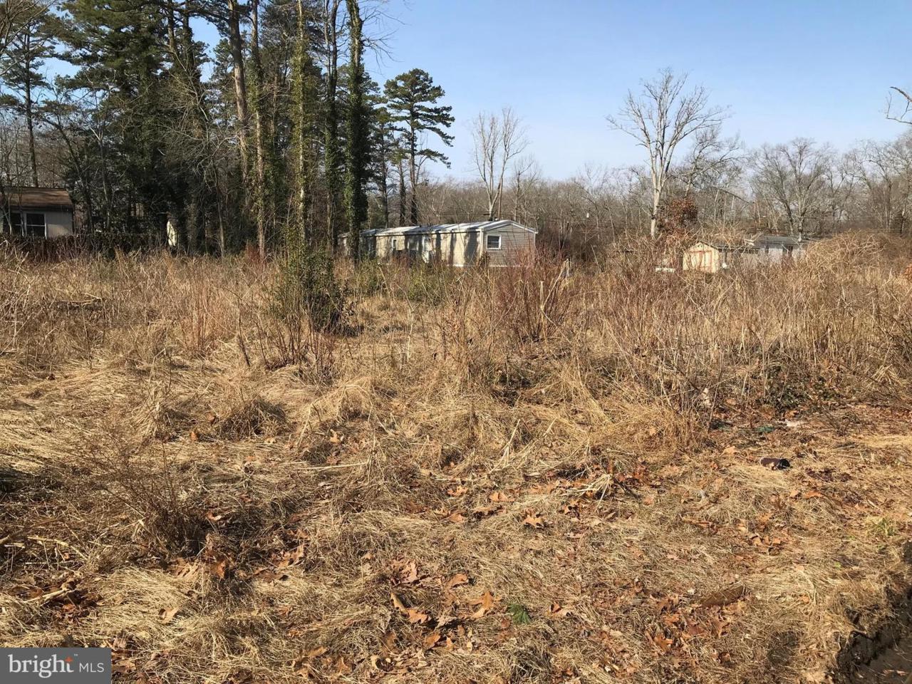 517 Gooseberry Road - Photo 1