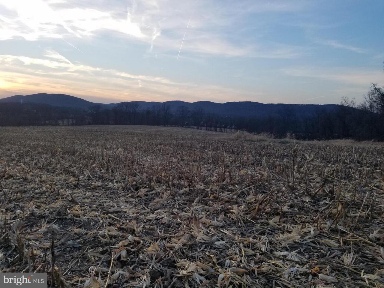 Lot #3 Ore Bank Road - Photo 1