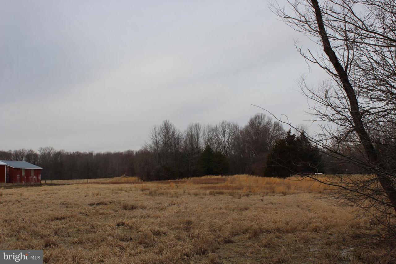 365 Vandyke Maryland Line Road - Photo 1