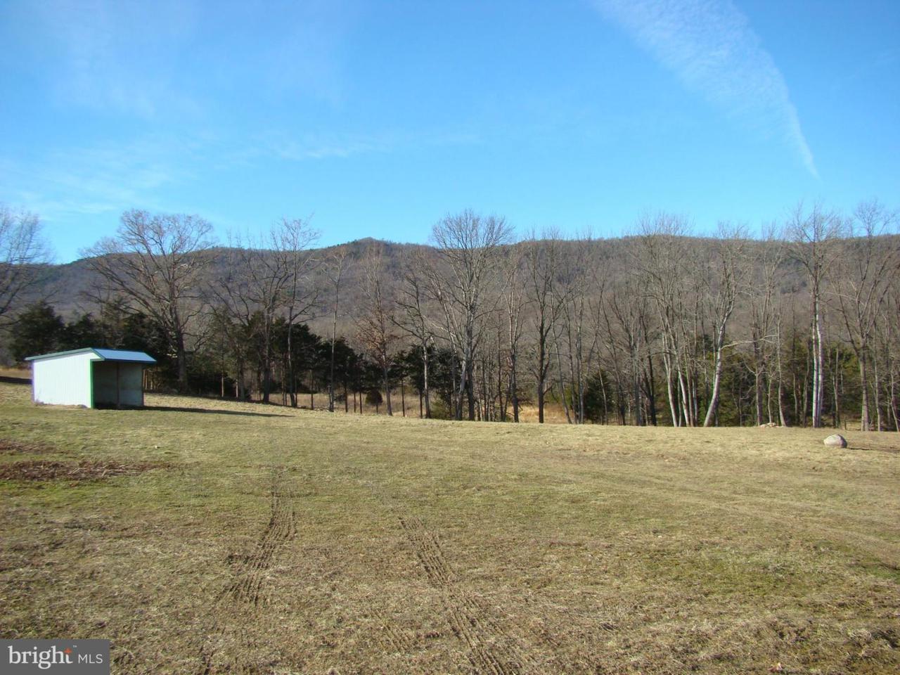 0 Earl Mason Lane - Photo 1