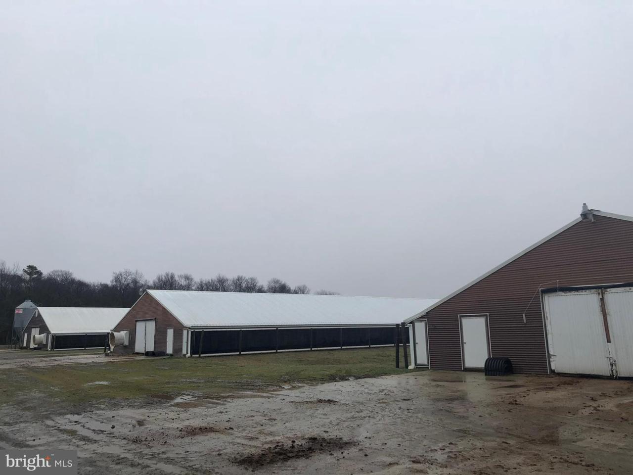 13625 Tull Road - Photo 1