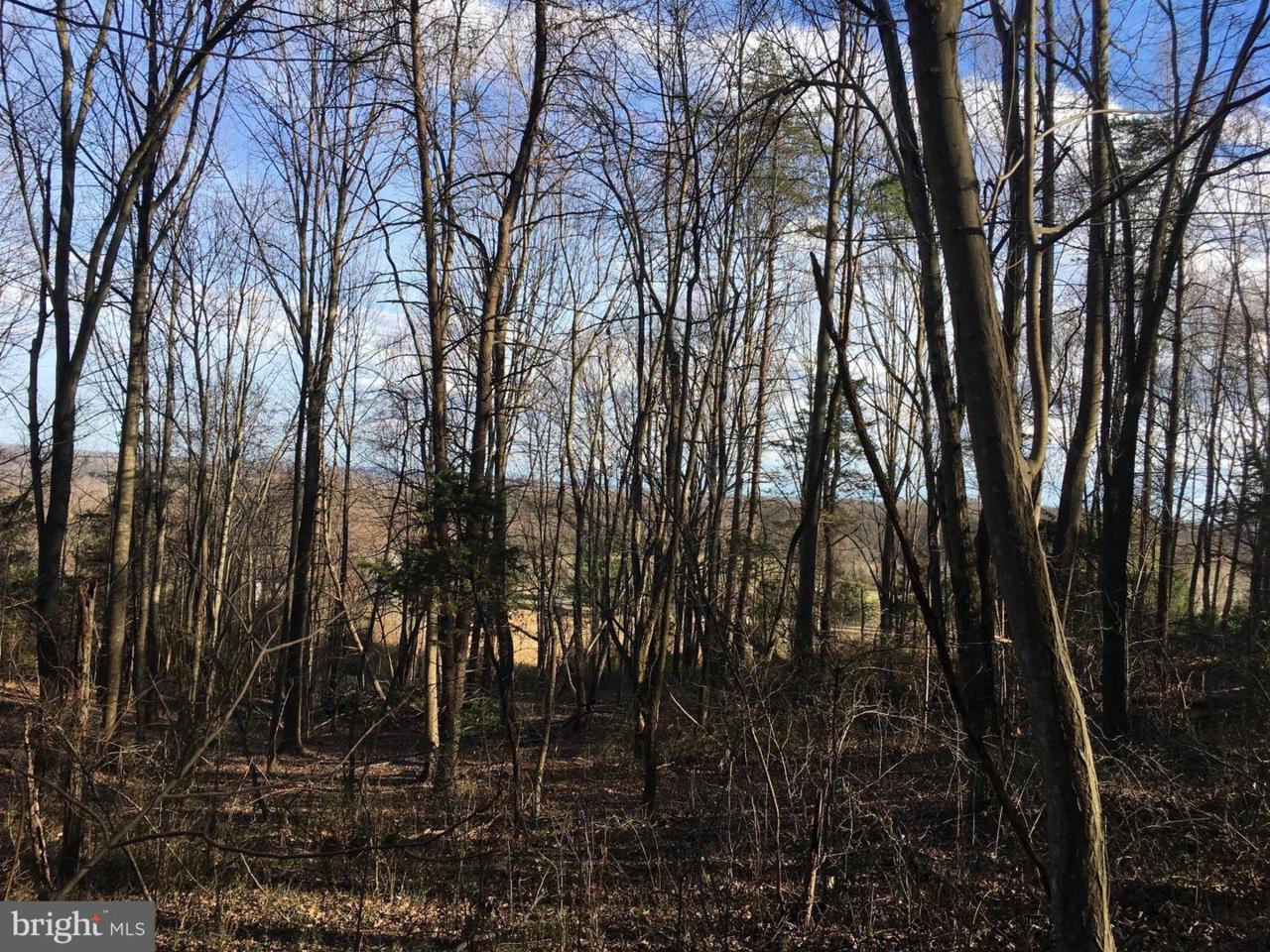 Battle Mountain Road - Photo 1