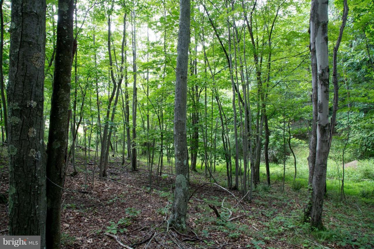 Off Wv Rt 9/29 - Photo 1