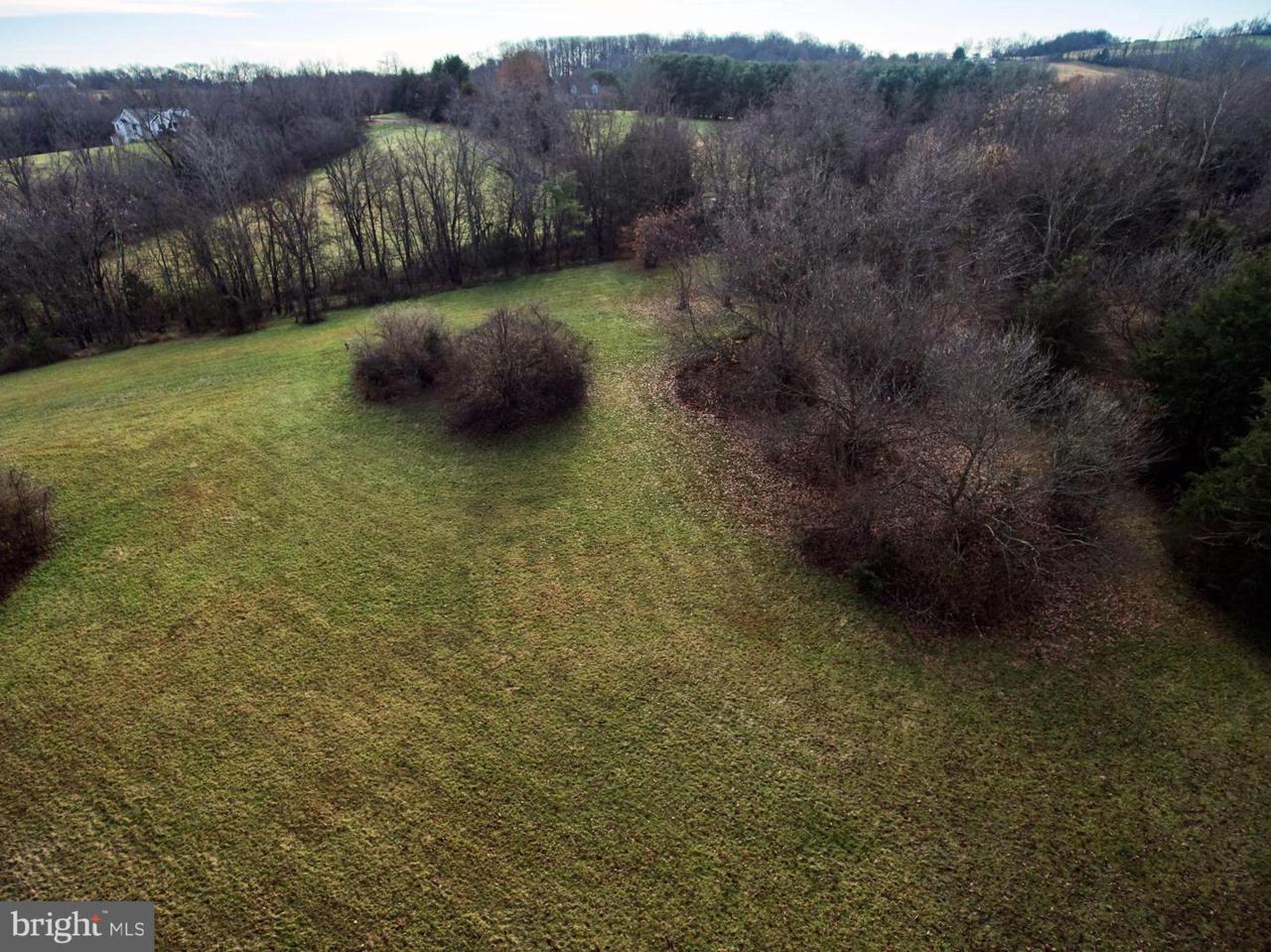 Raccoon Ford Road - Photo 1