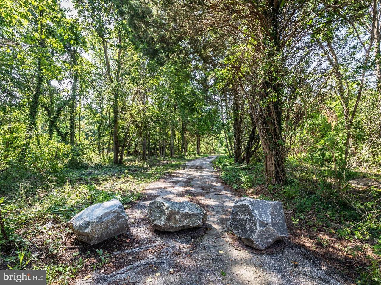 210 Browns Woods Road - Photo 1