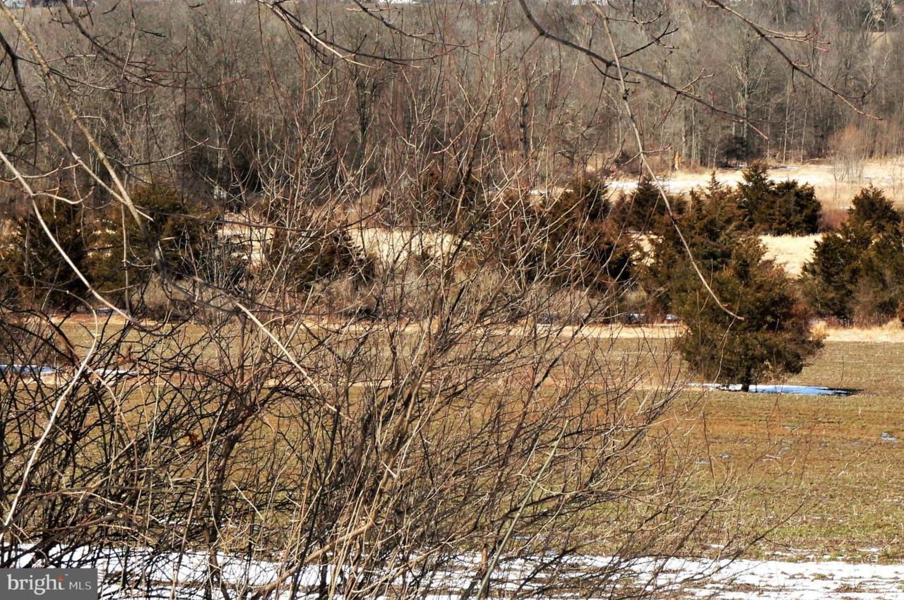 LOT 2 Nell Road - Photo 1