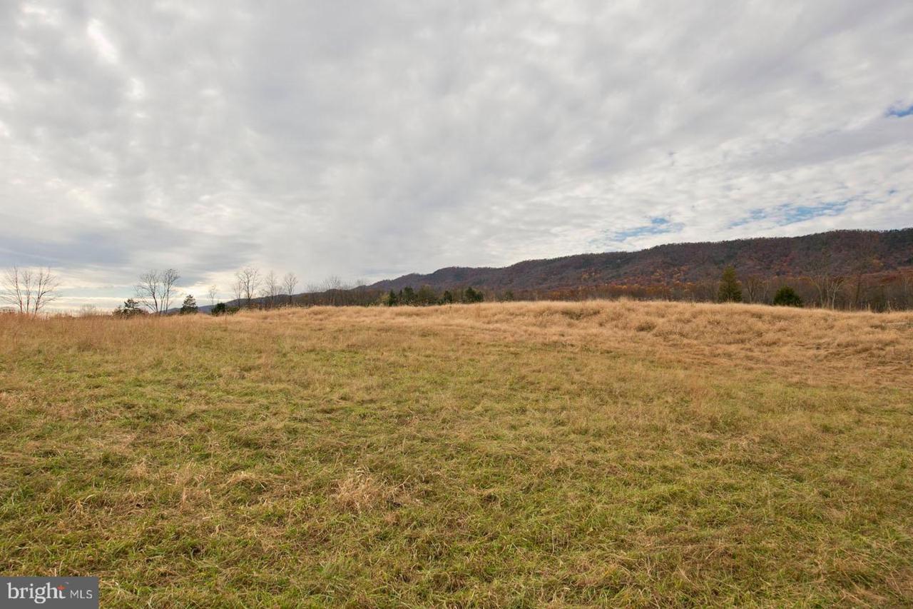 16011 Back Road - Photo 1