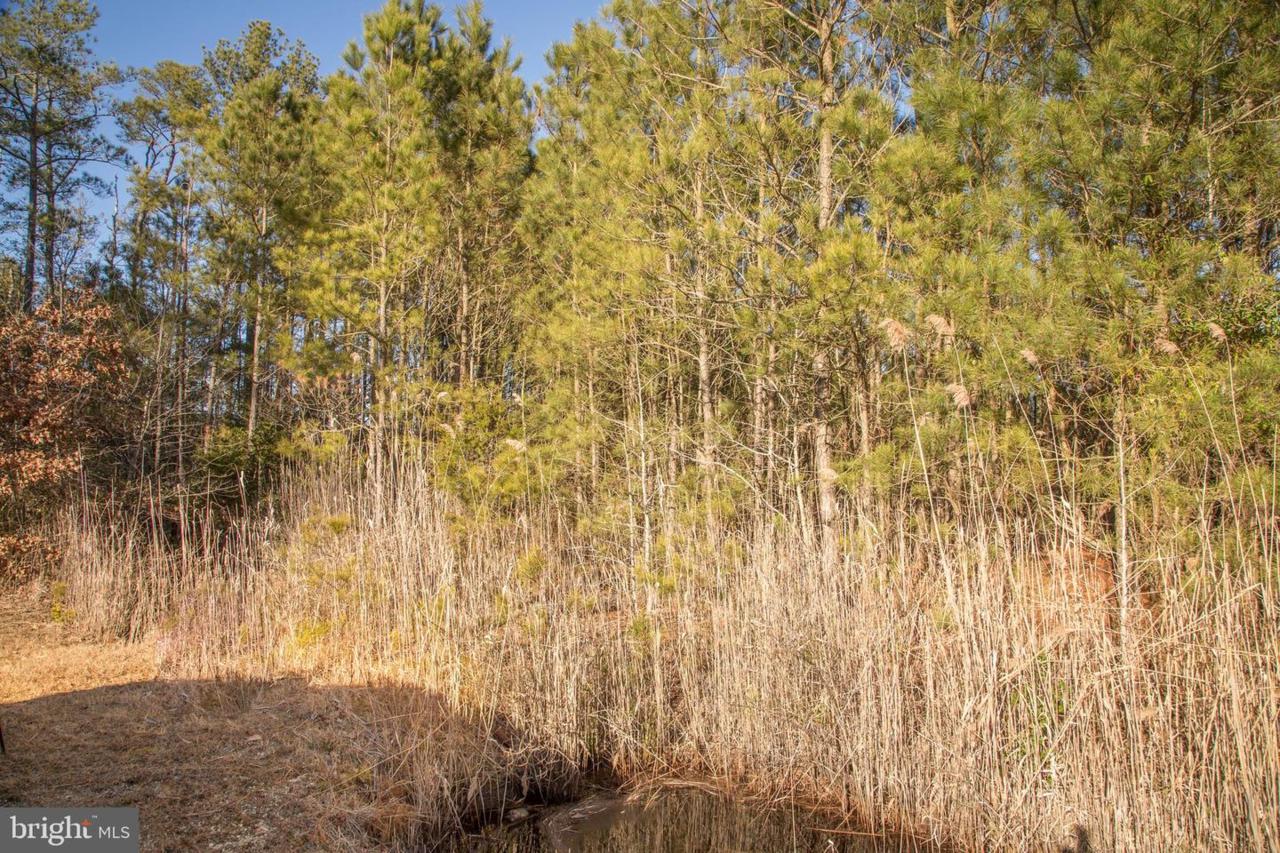 0 Oriole Back Road - Photo 1 0 Oriole Back Road - Photo 1