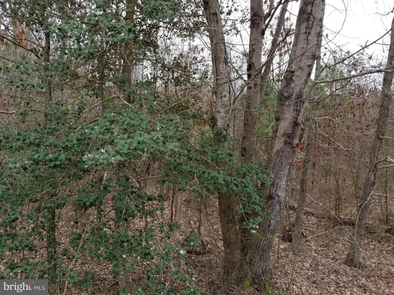 00 Wrightsville Road - Photo 1