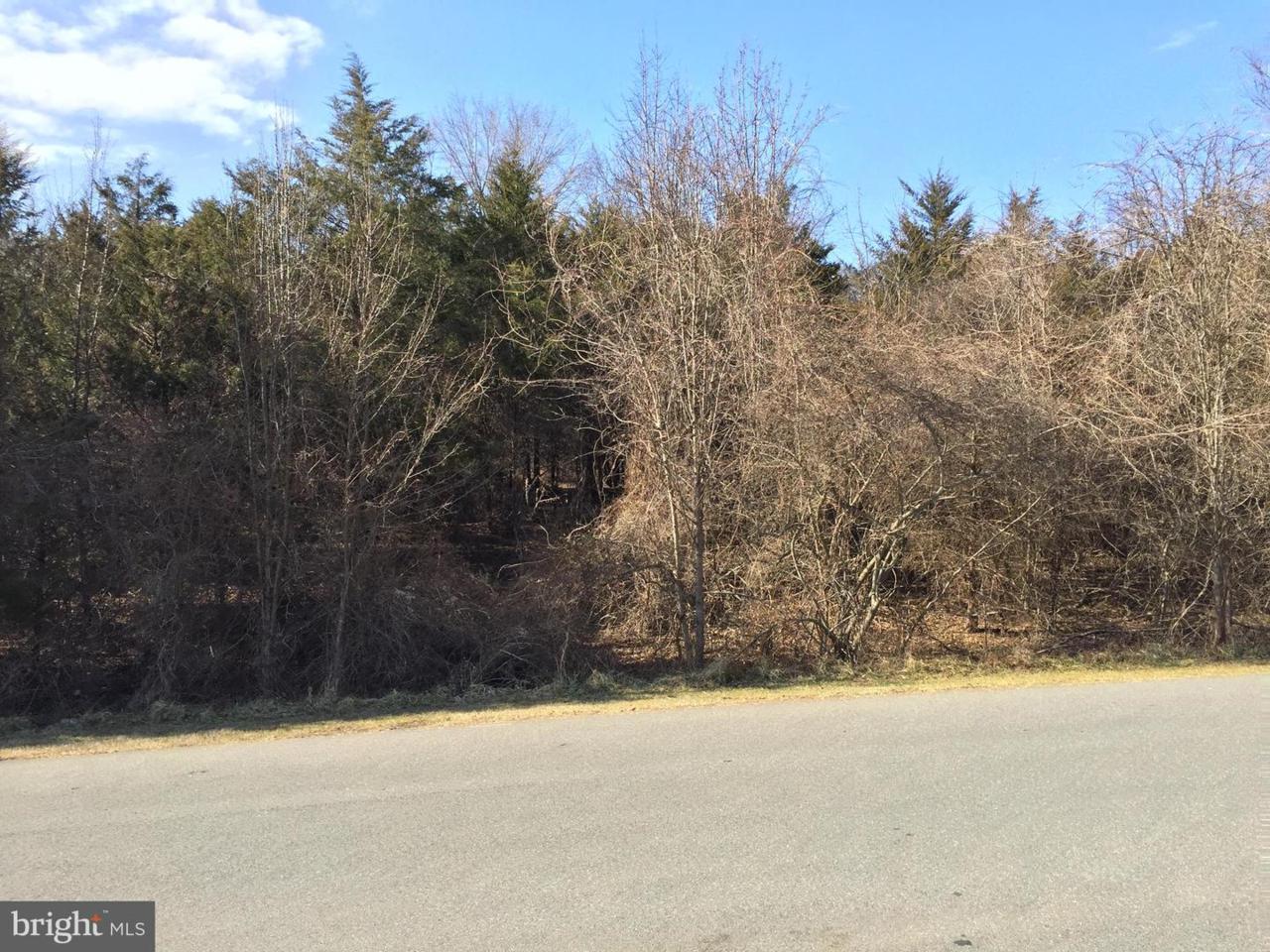 21612 Gentry Lane - Photo 1