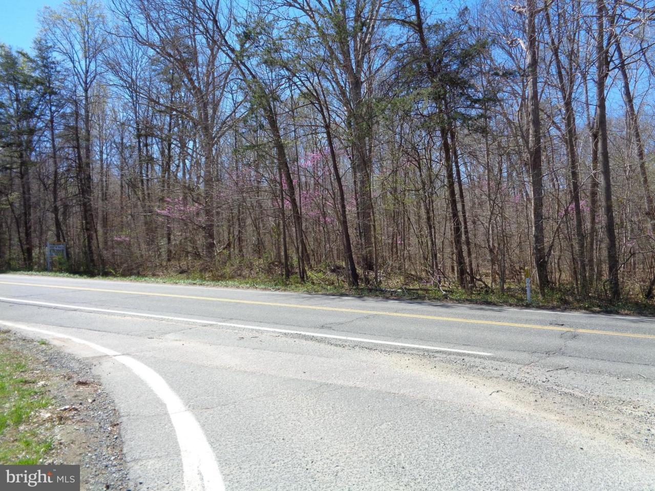 303 Onville Road - Photo 1