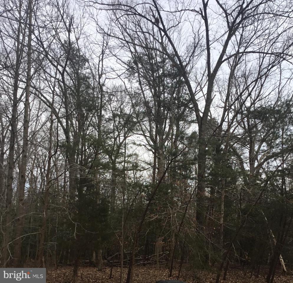 16228 Livingston Road - Photo 1