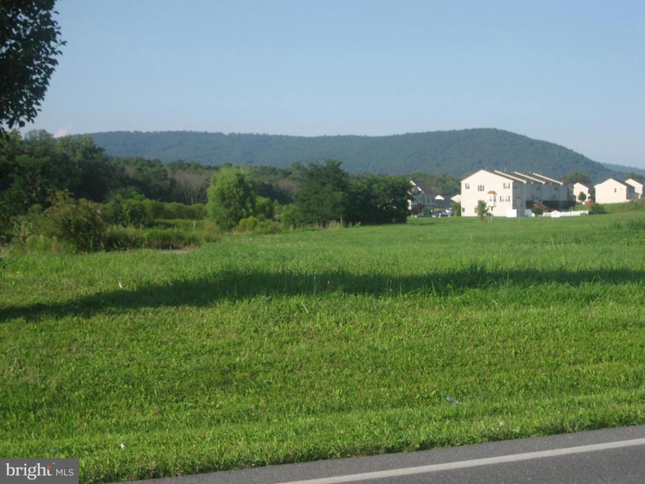 7C North Welty - Photo 1