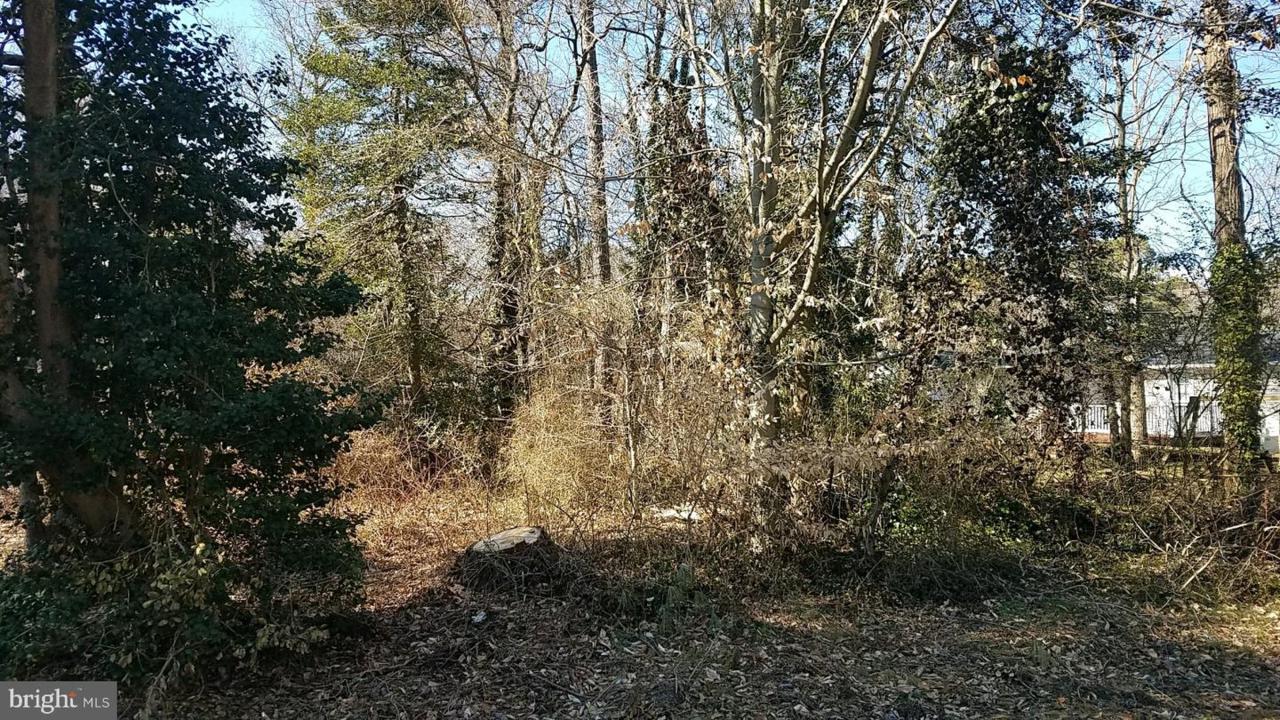 12945 Ottawa Drive - Photo 1